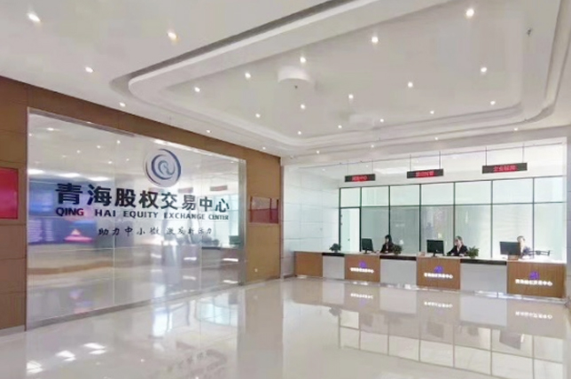 高端访谈||“融资+融智”力促四板市场服务西北MG电子——访青海股权交易中心董事长夏雪晶