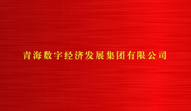青海数字经济发展集团有限公司