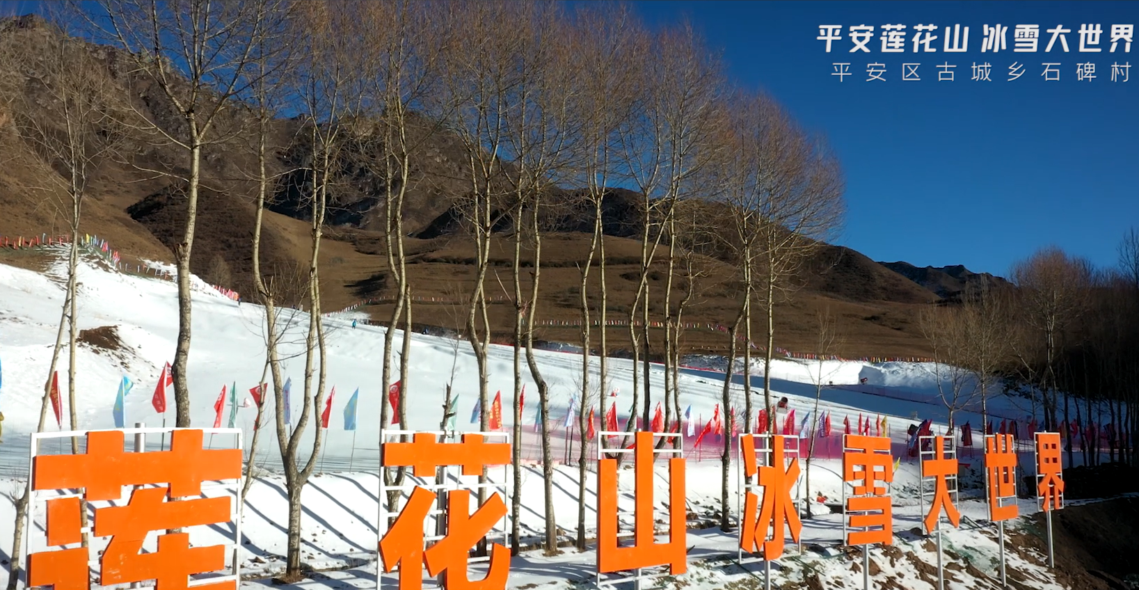 MG电子
助力乡村振兴