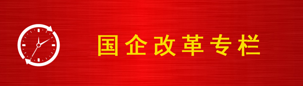 国企改革专栏
