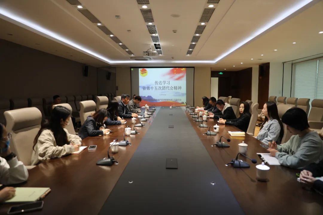 MG电子
团委召开团员大会专题传达学习省第十五次团代会精神