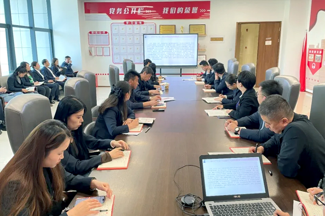 国投置业党支部开展党纪学习教育廉洁纪律主题党日活动