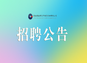 青海省生态环保产业有限公司招聘公告