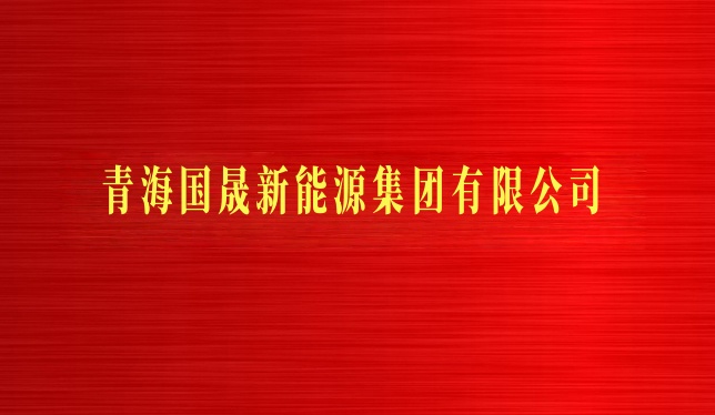青海国晟新能源集团有限公司