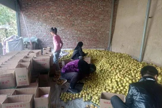 网页新闻图片大小模板psd 网页新闻图片大小模板psd