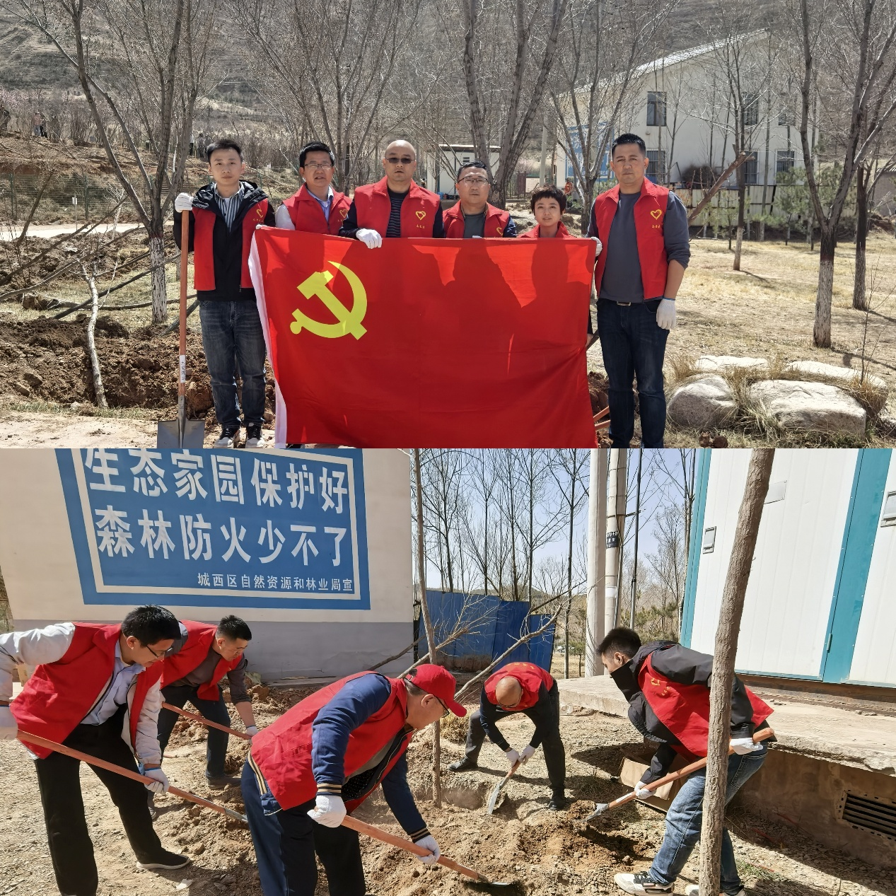 青海国晟党支部联合工会开展义务植树活动